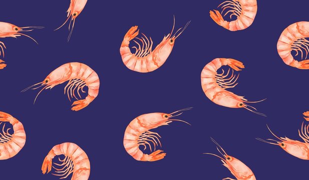 Cute shrimp pattern background  design