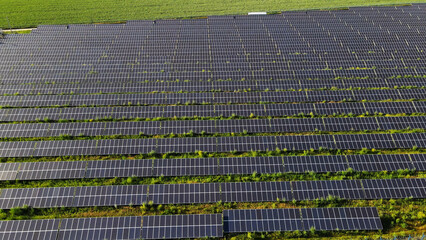 Obraz premium Photovoltaic panels spanning the field harvest solar energy, delivering sustainable electricity and supporting green technology
