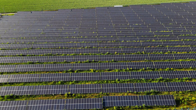 Photovoltaic panels spanning the field harvest solar energy, delivering sustainable electricity and supporting green technology
