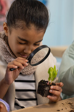 Teenage African American female examining seedling with magnifying glass in classroom wearing scarf