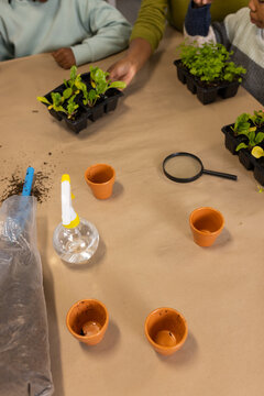 African American females including adult and two youth potting seedlings at table with trays