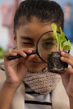 African American teenage girl holding magnifier inspecting seedling with roots at school
