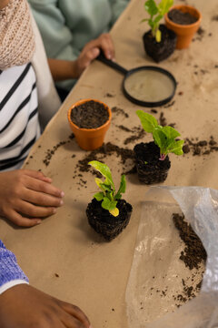 African American teenage females planting seedlings in clay pots at workshop table with magnifier