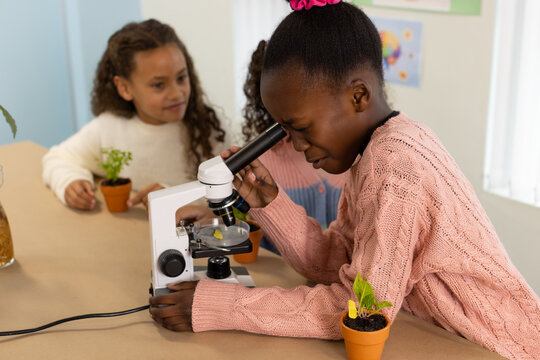 African American teens watching girl in pink top leaning into microscope at desk, peers with pots