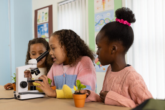 Three African American schoolgirls using microscope at science table, holding terracotta pots