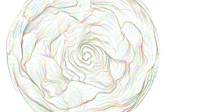 Abstract design with vibrant swirling lines creating a spherical shape on white background