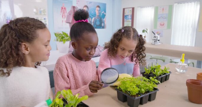 African American children curious, center girl holding lens, examining seedling tray at school lab