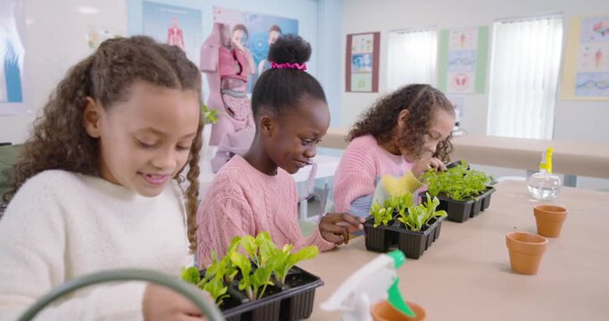 Three girls spotting leaves, inspecting seedlings in science lab using magnifier to compare growth
