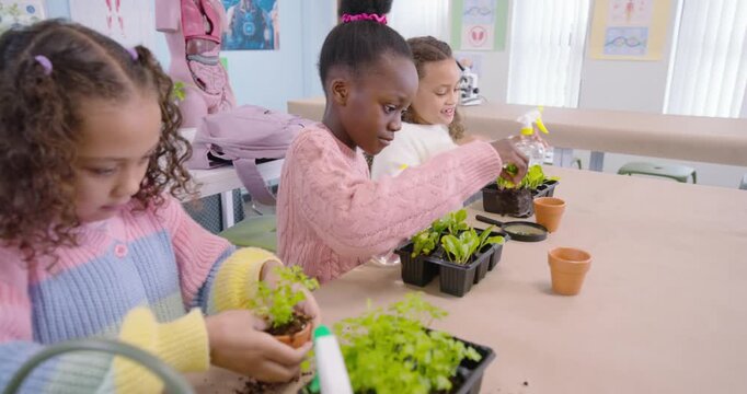 African American schoolgirls with seedling trays and sprayers potting into pots for science in lab