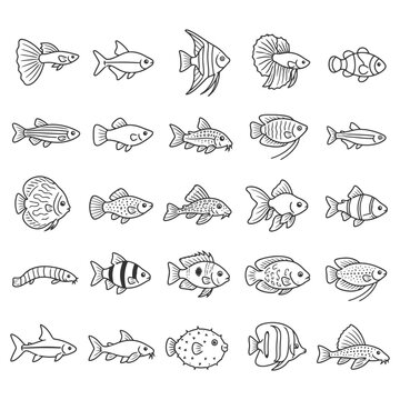 Line art collection of aquarium fish illustrations.