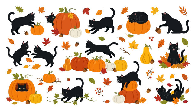 Cute black cats playing with pumpkins and autumn leaves in a festive collection perfect for your fun halloween party designs