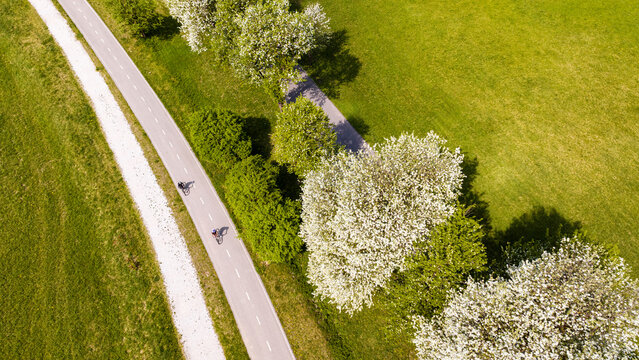 Cyclists travel the Ciclabile Alpe Adria path amidst spring blossoms, an active lifestyle destination in the Julian Alps,Tarvisio,Camporosso,Friuli Venezia Giulia,Italy.