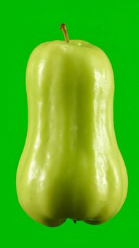 A single fresh green wax apple isolated on a vibrant surface