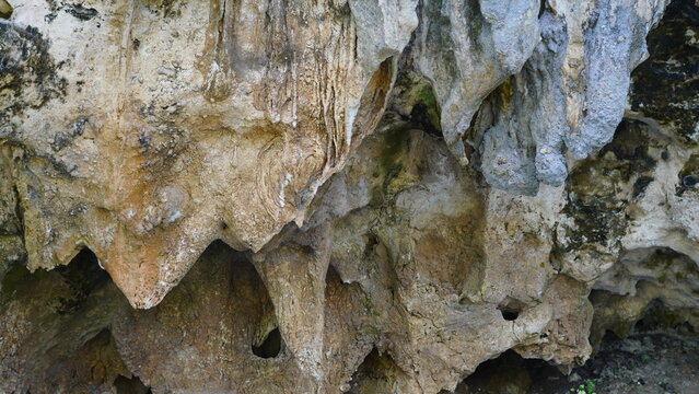 stalagmite texture 