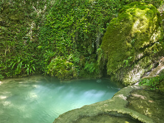 Fototapeta premium Turquoise natural pool with mossy rock and lush ivy wall in Castel di Fiori forest, Umbria, Italy
