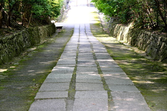 Stone path leading up to Japanese shrine entrance