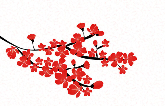 Red cherry blossom branch with flowers on a white background floral illustration