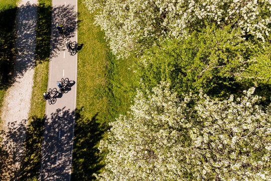 Cyclists enjoying an active lifestyle on the Alpe Adria bike path amidst blooming spring trees, an outdoor adventure for tourism in Julian Alps, Tarvisio, Camporosso, Friuli Venezia Giulia, Italy.