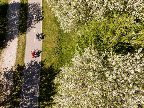 Cyclists riding on an outdoor bike path bordered by white blossoming Klotzen pears trees during a scenic travel adventure,  in the Julian Alps, Tarvisio, Camporosso, Friuli Venezia Giulia, Italy!