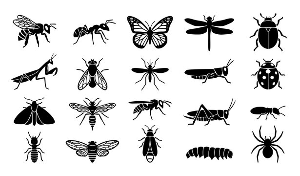 Common insect silhouette icon collection with bees butterflies ants and flying bugs CAD vector