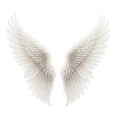 Fototapeta premium Elegant white angel wings illustration.