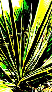 Abstract Tropical Agave Leaves with High Contrast Digital Art Effect