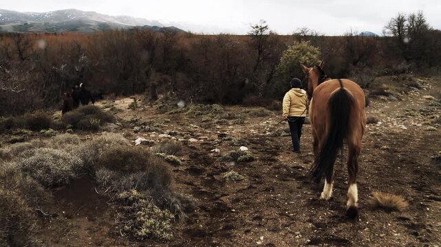 Slow Motion Rear View of Person Leading Horse Walking Through Patagonian Landscape - 4K