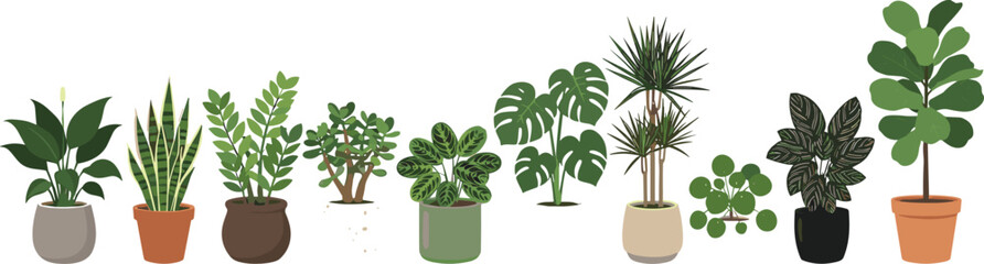 Indoor Houseplants and Potted Greenery Vector Border Set with Monstera Fiddle Leaf Fig Snake Plant Peace Lily and Dracaena Varieties for Cozy Home Garden Designs © SUMON