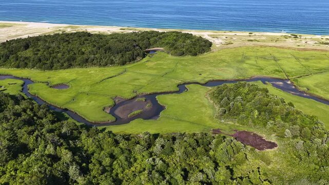 An extensive salt marsh inside Pleasant Bay, Cape Cod, grows right up to the edge of the Atlantic Ocean. Marshes provide critical habitat for many birds, fish, and marine invertebrates.