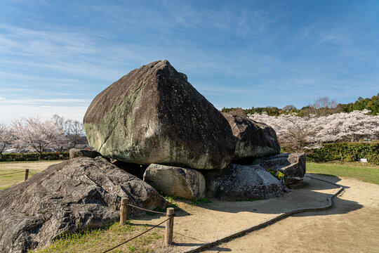Ishibutai Tumulus with cherry blossoms Asuka Historical National Government Park