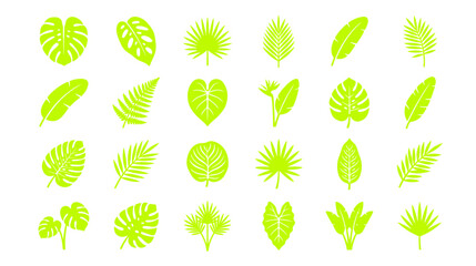Collection of Tropical Leaves Silhouettes © bibidj