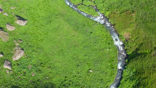 Drone flies forward directly above a mountain stream near Roshka, Georgia, mapping flowing water, meadow vegetation and rocky banks for ecology research, hiking media and watershed conservation.