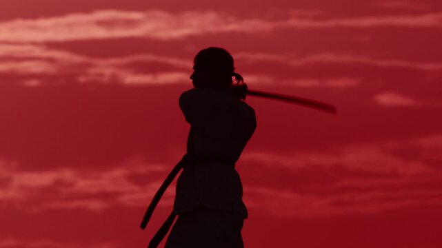 Person practices martial arts with a sword against a red sunset sky