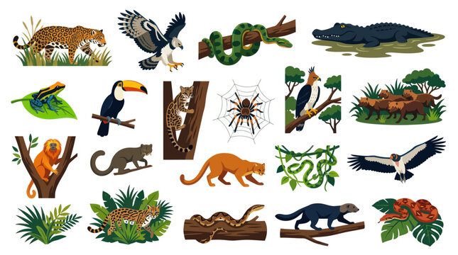Jungle Rainforest Animals Flat Vector Illustration Set. Wildlife Creature Collection for Nature Education