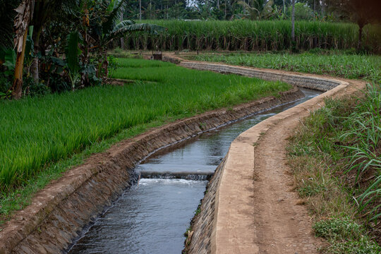 Concrete Irrigation Canal Through Green Agricultural Fields in Rural Landscape, Rural Water Irrigation Channel in Farmland Landscape for Sustainable Agriculture