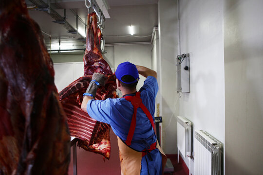 Meat-packing plant worker butchers horse carcass. Heavy physical labor. Horse carcasses hang in workshop. Pieces of meat. Butcher stands with his back to lens. Meat-processing business concept