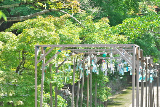 Japanese furin wind chimes hanging on wooden frame in summer