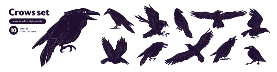 Fototapeta premium Crows in different poses set. Ravens fly, sit and croak. Birds with black feather are flying, landing and soaring in the sky. Halloween birdie character. Flat isolated vector illustrations on white