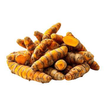 Neat pile of raw turmeric roots