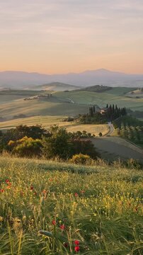 Tuscany rolling hills landscape with morning mist at sunrise, Val d'Orcia, Italy