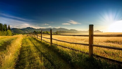 Fototapeta premium fence in field
