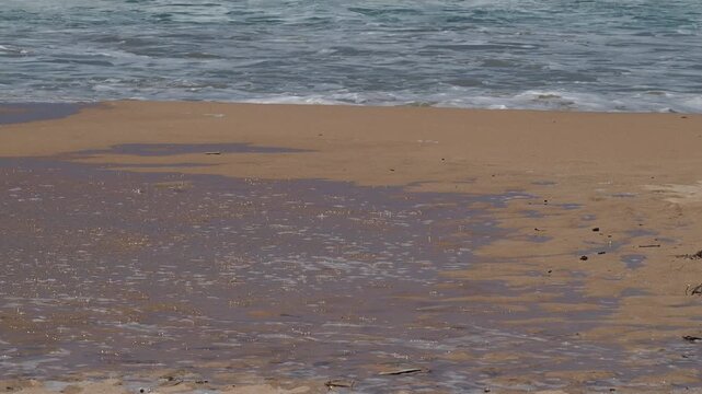 Gentle ocean waves receding on a sandy beach