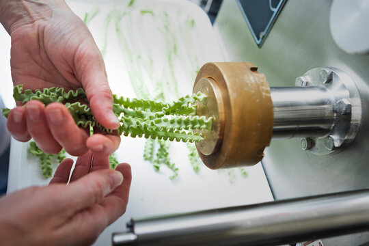 Close-up of cooking fresh homemade pasta. Dough machine squeezes out beautiful fluted ribbons of green noodles. The green color of the dough is given by natural spinach. Natural dyes