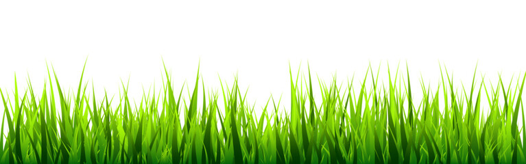Obraz premium Meadow silhouette with green grass, plants on plain. Panoramic summer lawn landscape with herbs, various weeds. Herbal border, frame element. Black horizontal banners. Vector illustration