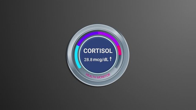 Cortisol health monitor animated HUD gauge widget displaying stress hormone level increase to high status on dark background