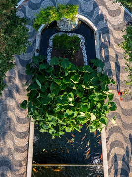 Cruz Quebrada, Portugal - 25 July 2026: Aerial view of Vasco da Gama Aquarium featuring a lush pond with large leaves and koi fish, surrounded by traditional wave-patterned mosaic pavement.
