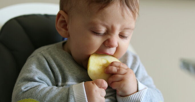 Toddler baby eating healthy piece of healthy apple fruit