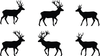 Wild deer silhouette collection set, stag, buck, elk, reindeer vector illustration, design elementWild deer silhouette collection set, stag, buck, elk, reindeer vector illustration, design element © Jarin