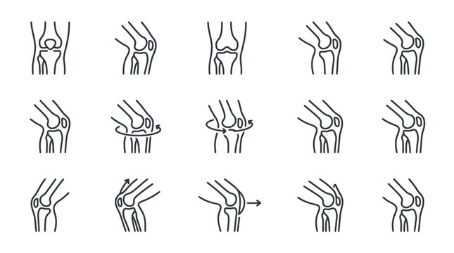 Knee Joint Anatomy Icons: Flexion, Extension, Rotation, and Movement