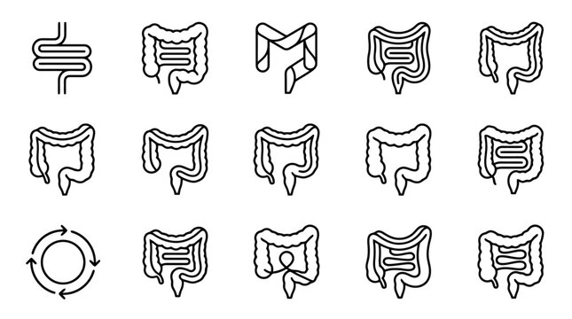 Human Digestive System Icons: Intestine, Colon, and Anatomy Outline Set